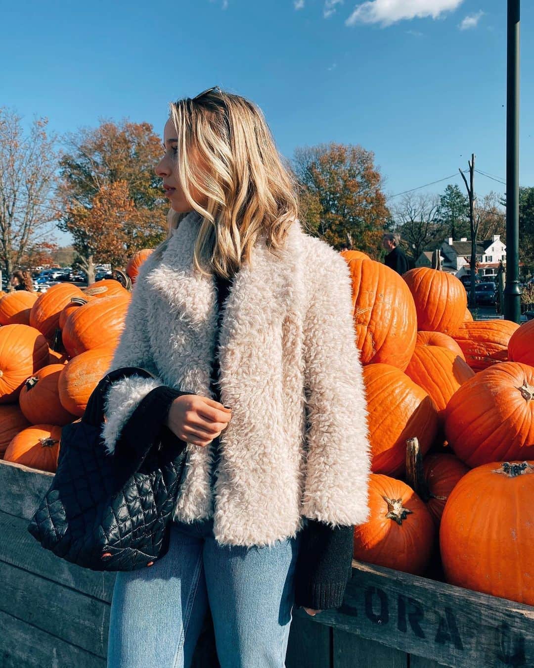 MZウォレスのインスタグラム：「We may be biased, but we think @macdallaire got the best pick of all with our Small Metro Tote. What are you picking this weekend, pumpkins or apples? Let us know with a 🎃 or 🍎 below!」