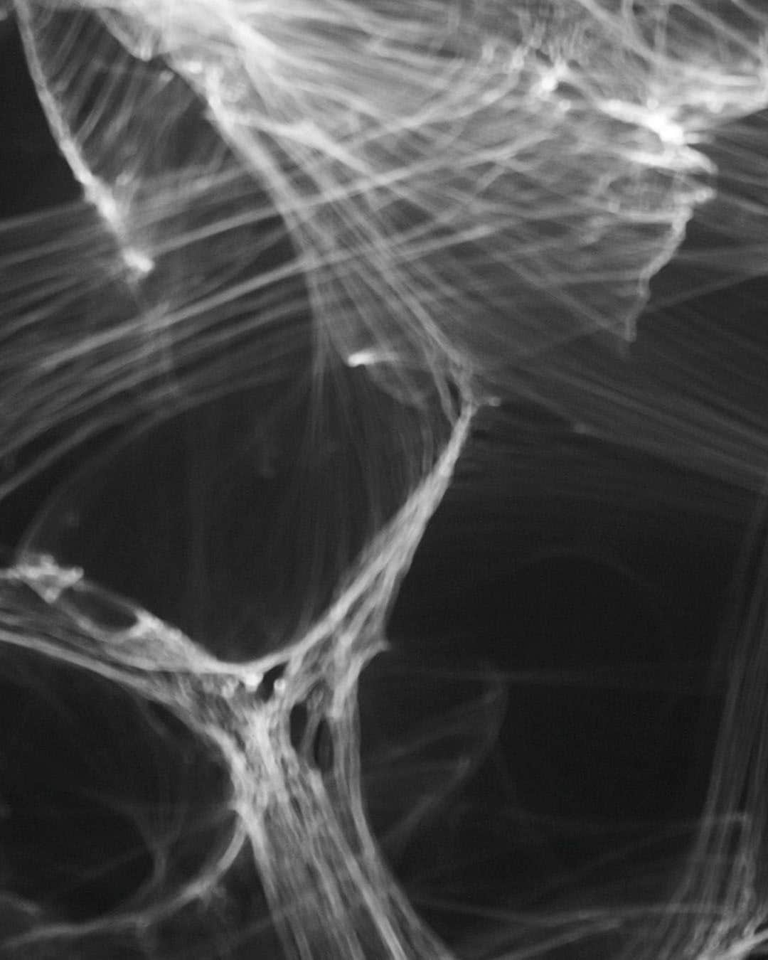 モバードのインスタグラム：「@alexilubomirski interprets time through his lens. "LIGHT is constantly in motion and difficult to portray as it is an ever changing element". #AlexiXMovado #Movado」