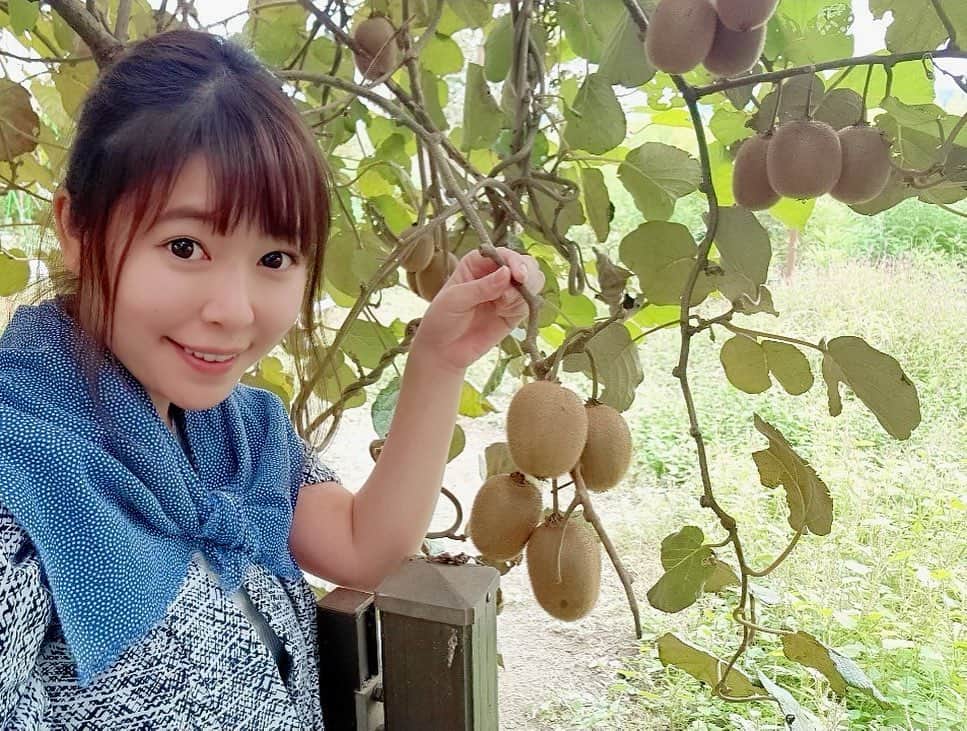野澤美仁のインスタグラム