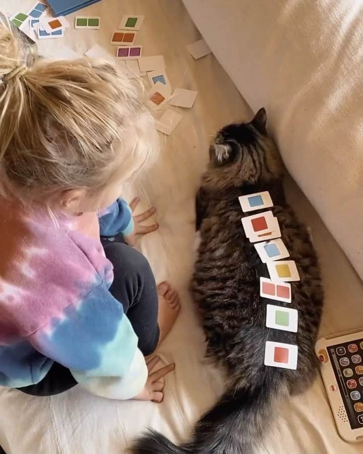 のインスタグラム：「“Coco! Yay! You’re a zebra nowwwwww!”」