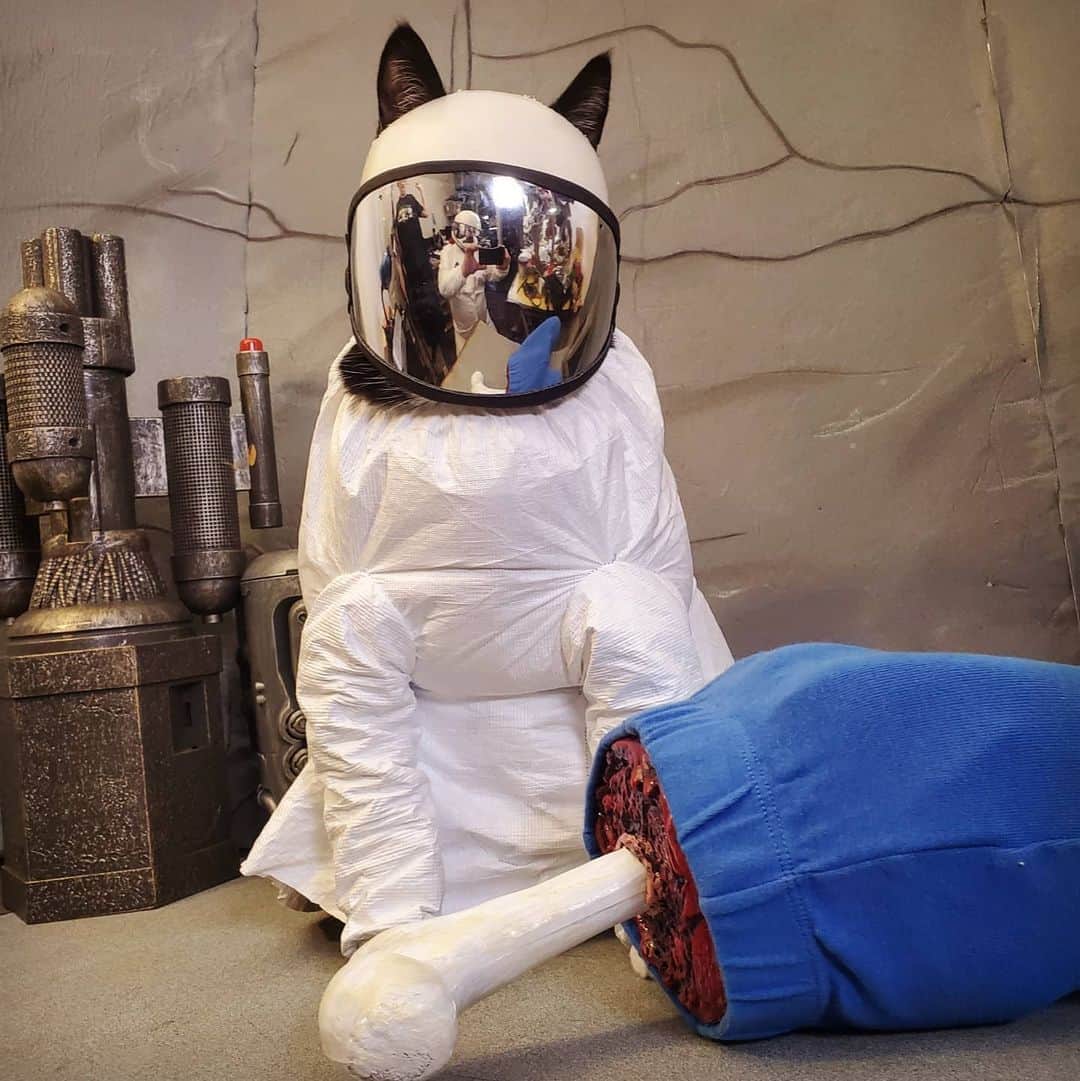 猫コスプレさんのインスタグラム写真 - (猫コスプレInstagram)「"Dog was just here, he vented before you came in."  #AmongUs #Impostor . . . . . . . . #cat #catcostume #catsinclothes #catsofinstagram #astronaut #astronautcostume #catcosplay #cosplay #cosplayer #videogame #videogamecosplay #amongusmemes #innersloth #halloween #halloweenideas」10月12日 4時40分 - cat_cosplay