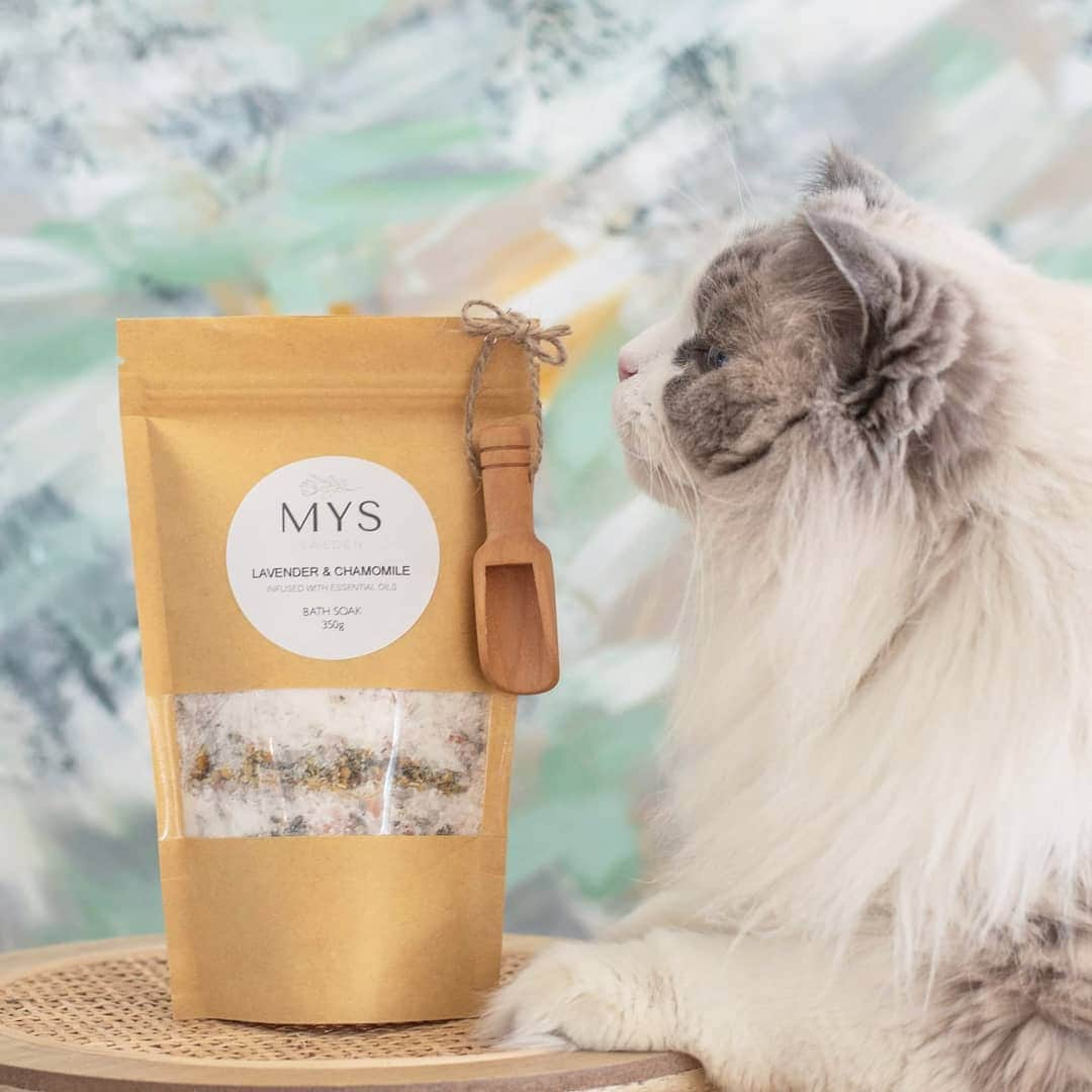 Princess Auroraのインスタグラム：「Happy Monday!🌻🕯🛁  Quality inspection of the bath soaks by miss @aurorapurr Can't have a product photoshoot without her.😻  If you're interested in supporting a small soy wax candles and bath soaks business, please follow @myssweden Everything is made by hand in small batches in our kitchen. 🧖‍♀️🛁🕯 . . . #bathtime #bathtub #badrum #bathteabag #athomespa #mys #hygge #scandinaviandesign #epsomsalts #driedflowers #homedecor #handmade #aurorapurr #botanicals #shoplocal #selfcare #supportsmallbusinesses #aromatherapy #lavender #doftljus #fragrance #interiordesign #cosy #home #essentialoils #hellofall #catsofinstagram  #inredning #stockholm #myssweden」