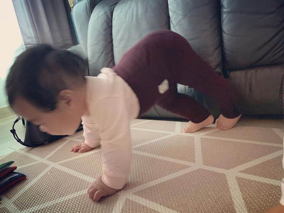 イ・ユンジのインスタグラム：「이거슨 다운독이렷다 #downdog#쉽사리나아가지않는다#궁디씰룩씰룩#정소울관찰일지」