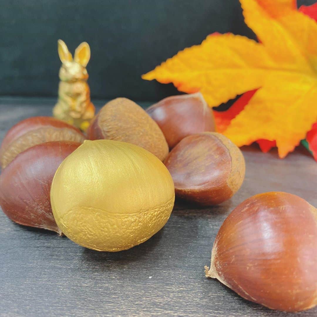 GINZA TANAKA 公式さんのインスタグラム写真 - (GINZA TANAKA 公式Instagram)「・ 【実りの秋🌰🍁】 ・ 秋といえば、実りの秋、食欲の秋！芸術の秋！ ギンザタナカにも 純金製の「栗」のオブジェがございます。  ほぼ原寸大のサイズで、本物の栗から型を取り、 シワやくぼみまでリアルに再現しています。 開くとゴージャスな小物入れになります。  本物の栗と一緒に飾ると 黄金に輝くディスプレイの完成です！ ・ ・ #GINZATANAKA #ginzatanaka #ギンザタナカ #田中貴金属 #田中貴金属ジュエリー  #純金 #k24 #puregold #オブジェ #置物 #GOLD #ゴールド #黄金 #栗 #栗拾い #食欲の秋 #実りの秋 #栗ご飯 #紅葉 #紅葉狩り #プレゼント #贈り物」10月12日 14時42分 - ginzatanaka_jp