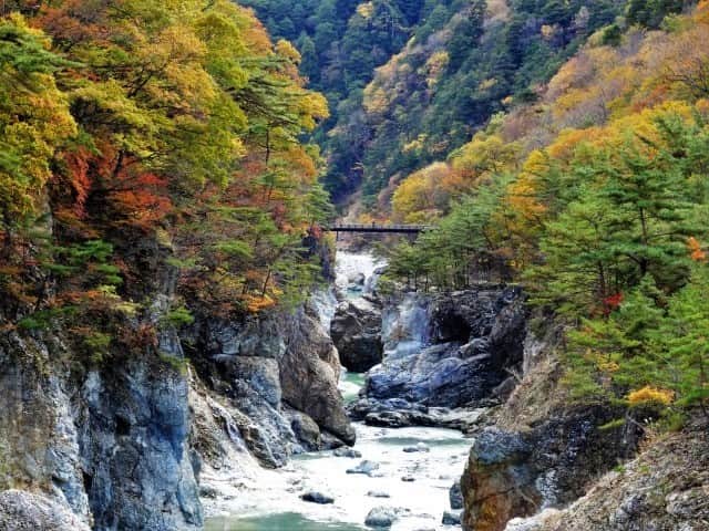 TOBU RAILWAY（東武鉄道）さんのインスタグラム写真 - (TOBU RAILWAY（東武鉄道）Instagram)「. . 🚩Kinugawa River - Nikko, Tochigi . . [Enjoy Kinugawa's great nature from a boat!] . . Kinugawa River flows near "Kinugawa Onsen", a popular spa resort in the Kanto region. The beautiful valley that the Kinugawa River flows through is also a popular sightseeing spot created by great nature. How about enjoying the Kinugawa River from a boat? When you travel to Kinugawa Onsen and Nikko area, with NIKKO PASS, you can get on and off trains and buses in specific areas freely, so it's very economical and convenient. . . #visituslater #stayinspired #nexttripdestination . . . #nikko #kinugawariver #kinugawaonsen #tochigi #japantrip #travelgram #tobujapantrip #unknownjapan #jp_gallery #visitjapan #japan_of_insta #art_of_japan #instatravel #japan #instagood #travel_japan #exoloretheworld #ig_japan #explorejapan #travelinjapan #beautifuldestinations #japan_vacations #beautifuljapan #nikkojapan #autumnjapan #onsen」10月12日 15時00分 - tobu_japan_trip