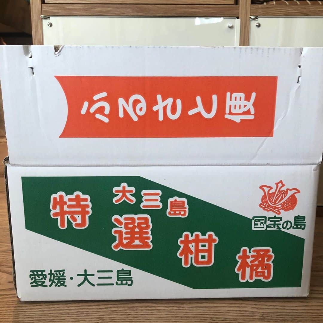 美甘子さんのインスタグラム写真 - (美甘子Instagram)「実家でとれた、極早生（ごくわせ）みかん🍊と、さつまいも🍠が届いた。みかん食べたくて、スーパーで買おうか迷ったけど、届くの待って良かった。 ビタミンCを補給して風邪ひかないようにします。 #大三島 #極早生みかん」10月12日 14時52分 - rekish_mikako