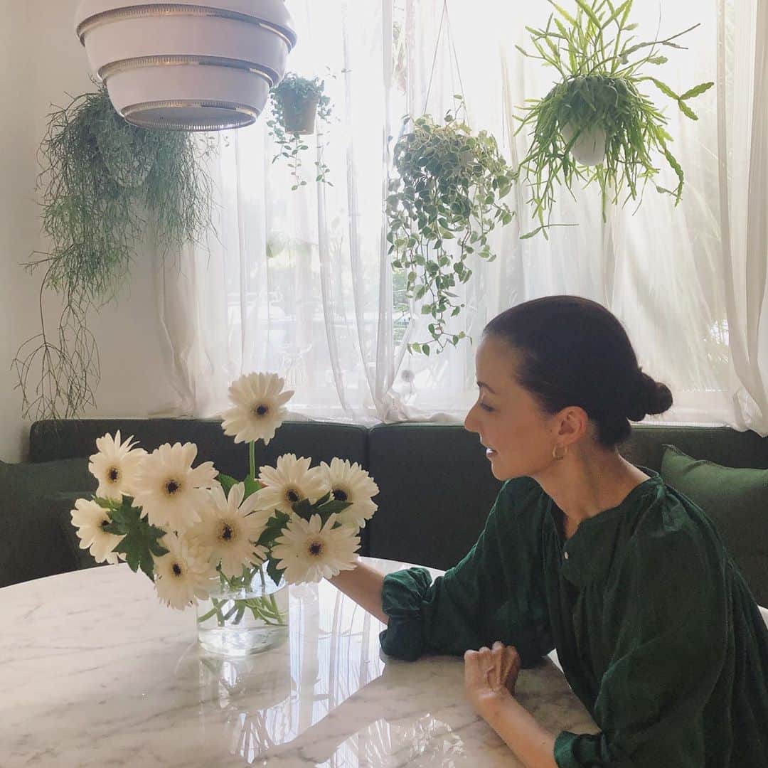 のインスタグラム：「今日は自宅にて撮影。 ガーベラを生けました。  #ハウスオブロータス #houseoflotus #ガーベラ」