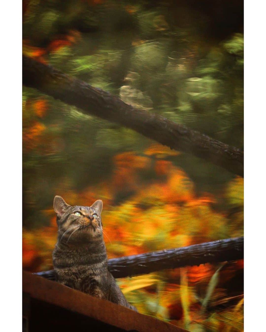 ををつかのインスタグラム：「「秋展」展示作品より。」