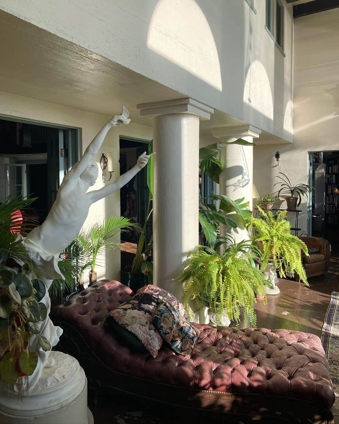 稲木ジョージのインスタグラム：「Sun room is my favorite 💕🌱🌿☘️🍃」