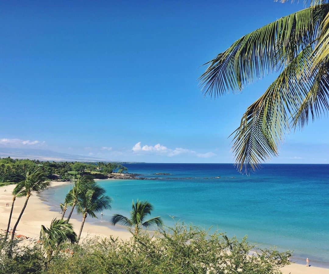 ハワイアン航空さんのインスタグラム写真 - (ハワイアン航空Instagram)「Aloha kakahiaka! 今週の#マンデーブルー は全米No.1ビーチに選ばれたこともあるハワイ島の#ハプナビーチ から😎  #ハワイの風景 #全米No1ビーチ #羽田コナ #ハワイ島 #ハワイ好きな人と繋がりたい #マンデーブルー 💙」10月12日 8時30分 - hawaiianairlinesjp