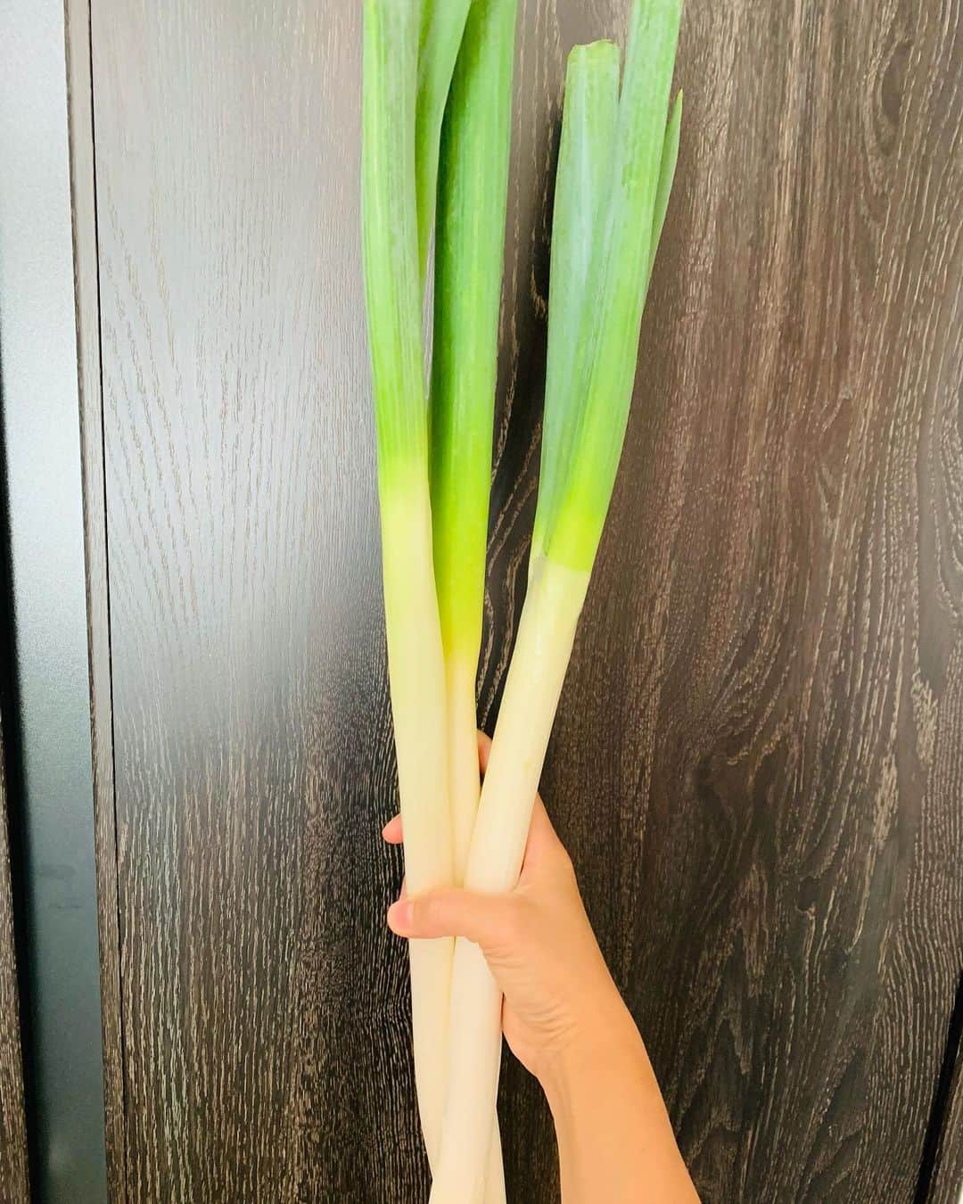 のインスタグラム：「最近、お隣さんのセコム誤作動をきっかけに、角煮を頂いて、お返しに菓子折り持っていって、お会いしたら挨拶して😋😋 そんな事が続いて❗️ 今朝、沢山もらったからって♪立派なネギを頂いた🥰🥰 老老介護されてて、大変そうだけど！ すごく素敵で落ち着く雰囲気のおばちゃん^o^ 子供達うるさいのに…迷惑絶対かけてるのに。文句一つ言わないでくださる😭😭 これからもいい関係でいられるといいな❣️」