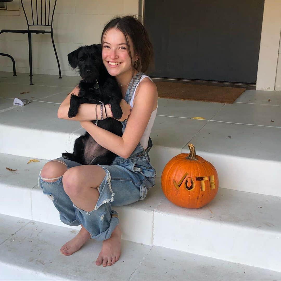 クラーク・グレッグのインスタグラム：「“What the pumpkin said.” - @stellagregg @whenweallvote #vote2020 #bidenharris2020」