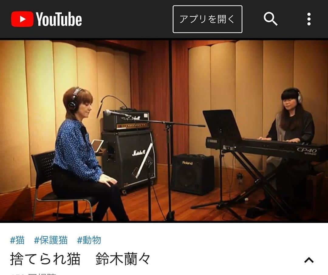 イズミカワソラのインスタグラム：「お友達の鈴木蘭々さんからお声をかけていただき、2013年に一緒に作った「捨てられ猫」という曲を映像にしてみました♪ ・ 蘭々さんは猫がめっちゃ好きで、今いる1匹の猫「まろちゃん」のお話を曲にしました。  元々飼い猫だったらしきまろちゃんがなんらかの理由で野良になり、大怪我をしていたのを、蘭々さんが保護して、蘭々さんの猫になるまでのお話なんです !   ストーリー性があって楽しい曲なので、ぜひ見てみてね !   https://youtu.be/n7wXKXJXFSY」