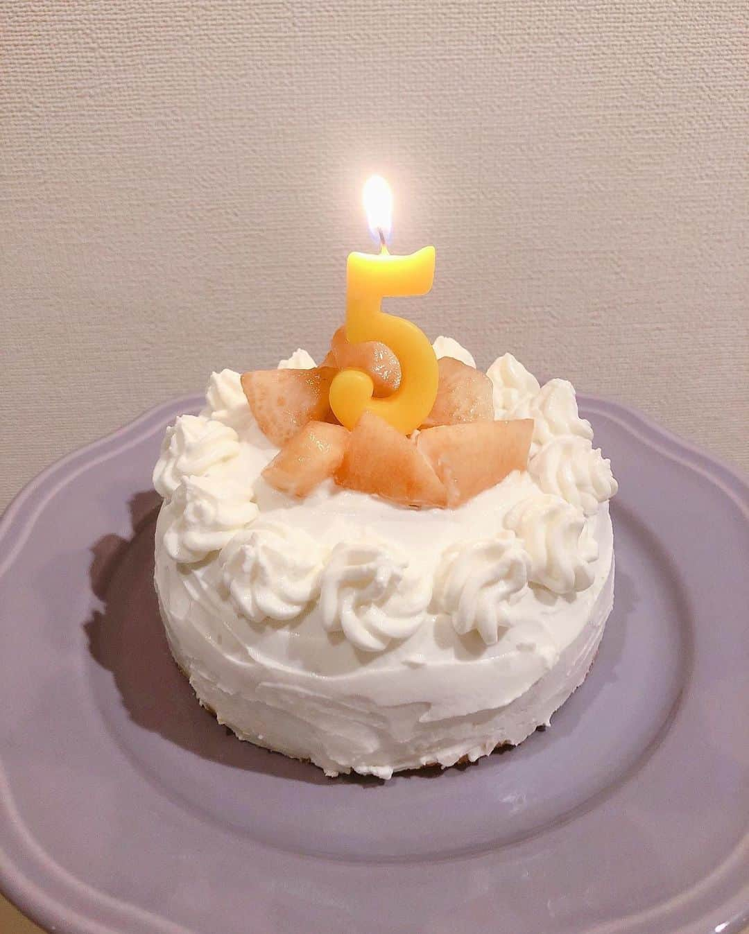 浦まゆさんのインスタグラム写真 - (浦まゆInstagram)「手作りケーキで、モモちゃんの誕生日お祝いしました🥂 バナナだけの甘さのパウンドケーキに、無糖水切りヨーグルトと桃で飾り付けした、特製わんこ用ケーキ🐶 わんちゃんが食べる物も自分で作った方が安心なのよね。」10月12日 10時05分 - uramayu0908