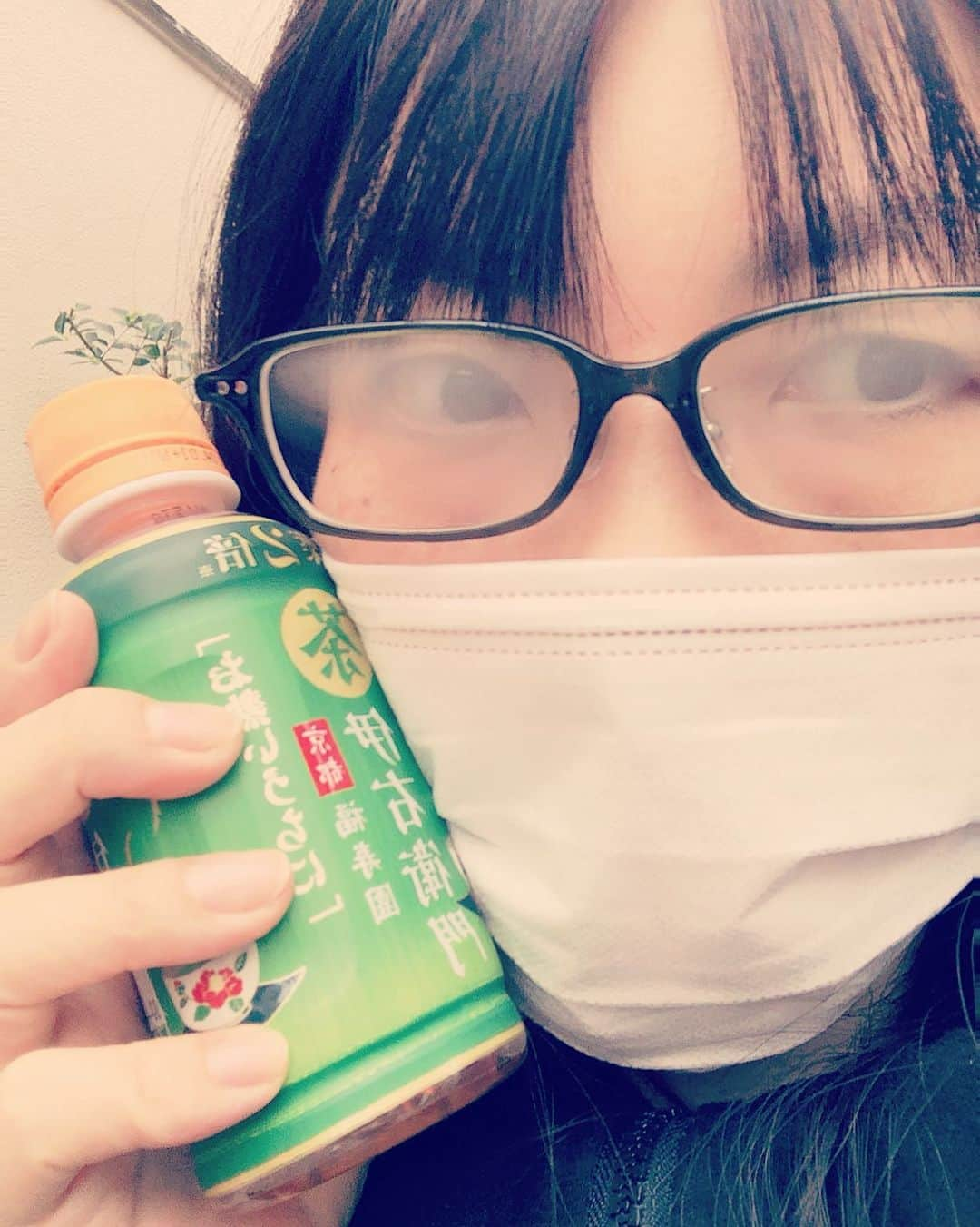 松井理子さんのインスタグラム写真 - (松井理子Instagram)「コンビニで、はじめてこんなに小さいお茶を買った。  このサイズめっちゃ有難い(*´艸｀*) 小さめのペットボトルでもちょっと多いんだよなーって事もあるんだよねぇ。。。 飲みきれないとか。  だからこのサイズは有難い🍀195mlだって✨  眼鏡が曇って仕方がない時期が到来しておるなぁ。。。  #福寿園 #ファミリーマート #伊右衛門茶 #眼鏡フェチ #眼鏡女子 #眼鏡がくもる」10月12日 10時30分 - ume_ume_phot