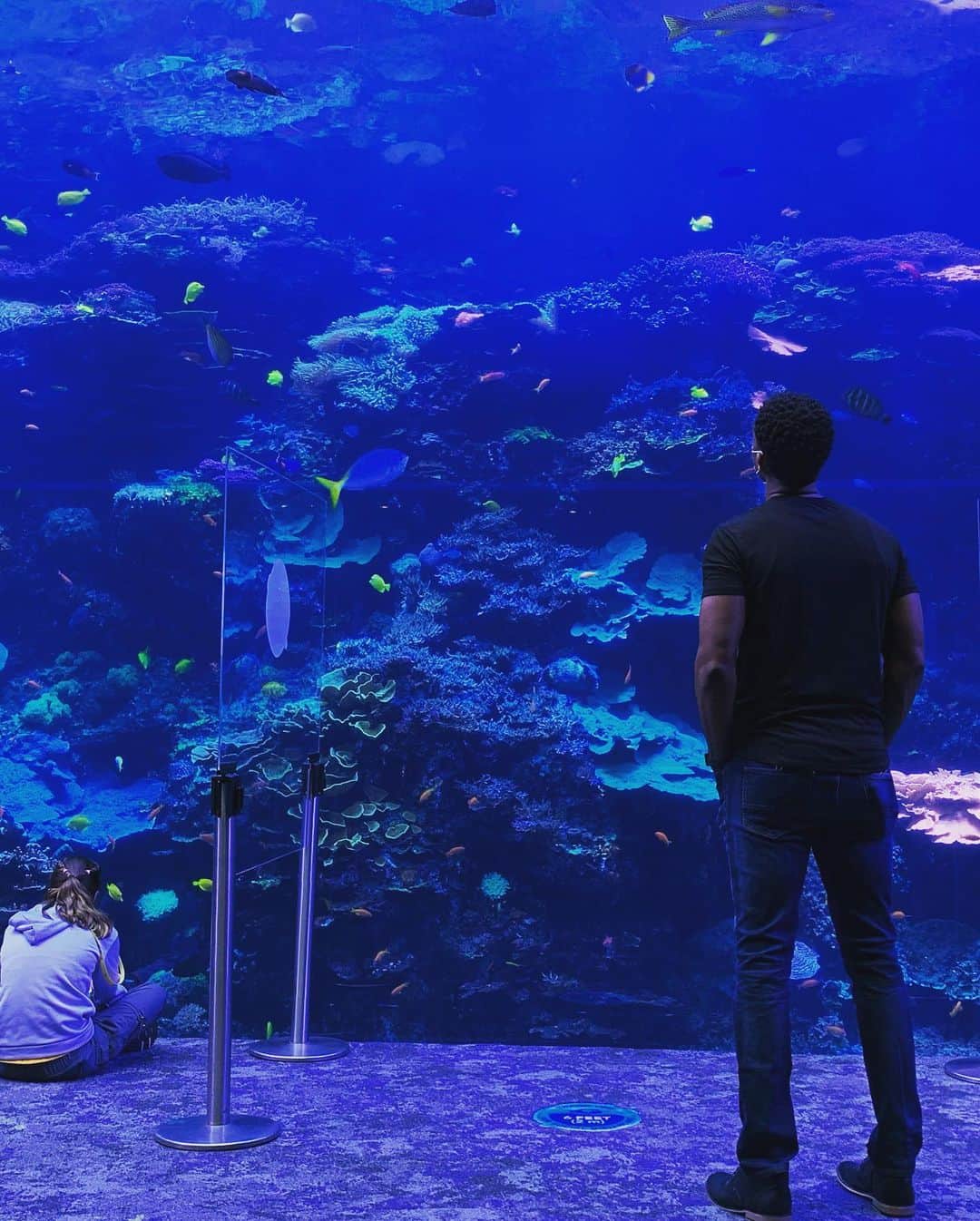 クラウディア・ジョーダンさんのインスタグラム写真 - (クラウディア・ジョーダンInstagram)「#Atlanta #Aquarium with @kjtheagent 🦈🦑🦀🐟🐟🐳🐋🐙」10月12日 10時30分 - claudiajordan