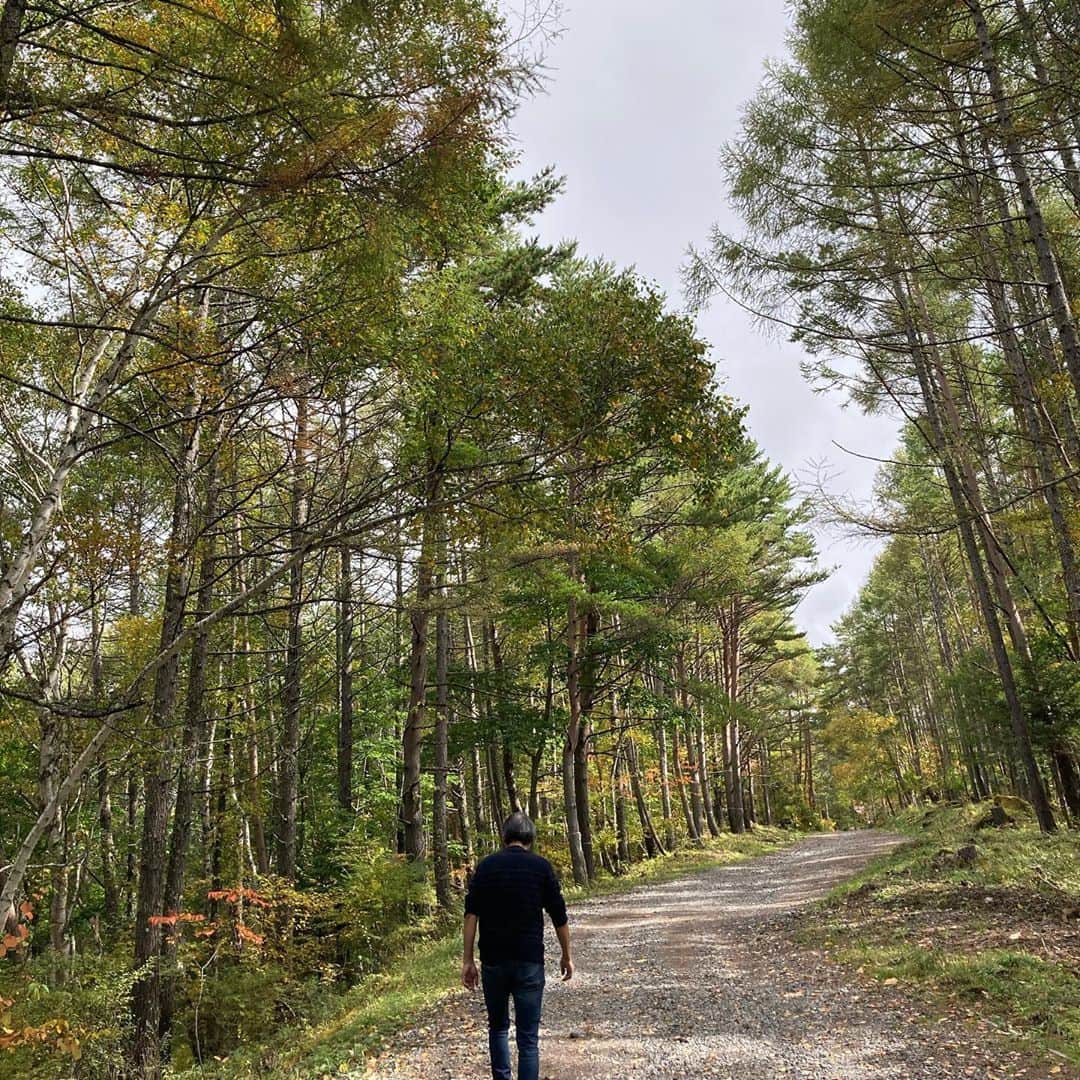 井上荒野さんのインスタグラム写真 - (井上荒野Instagram)「散歩。紅葉がはじまっています。」10月12日 10時47分 - arereno