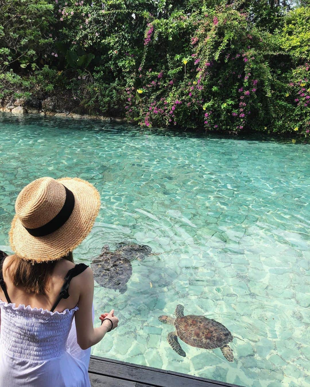 植田せりなのインスタグラム