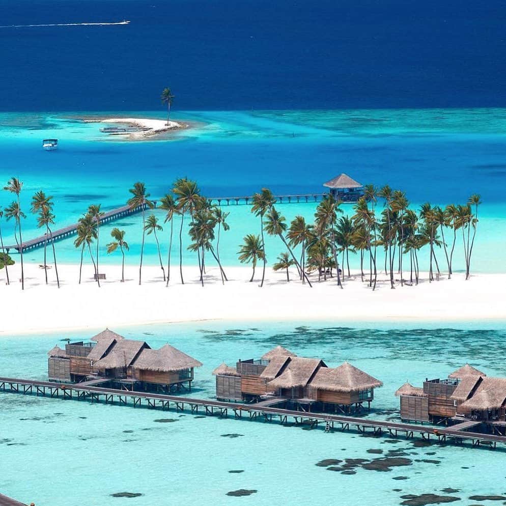 Maldivesさんのインスタグラム写真 - (MaldivesInstagram)「Gili Lankanfushi #Maldives   📷   #travel #slowlife #islandlife #luxurytravel #gililankanfushi #vacation #summervibes #турыизкраснодара #beautifulview #plamtrees #bluelagoon #luxuryhotels #maldivesislands #maldivesresorts #honeymoon #travelconcierge」10月12日 12時00分 - omaldives