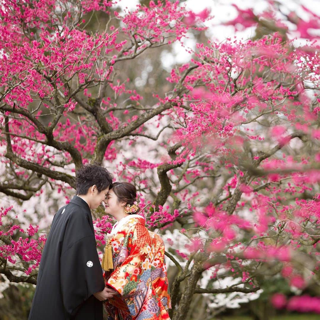 富山結婚式 ヴィラグランディス富山のインスタグラム：「, , , 春を感じる #和装前撮り 四季折々の美しさをぜひ前撮りで🌱 , , , , , , , #ヴィラグランディス富山 #色打掛 他の写真も気になる方はプロフィールから 公式HPをご覧下さい▶︎▶︎▶︎」