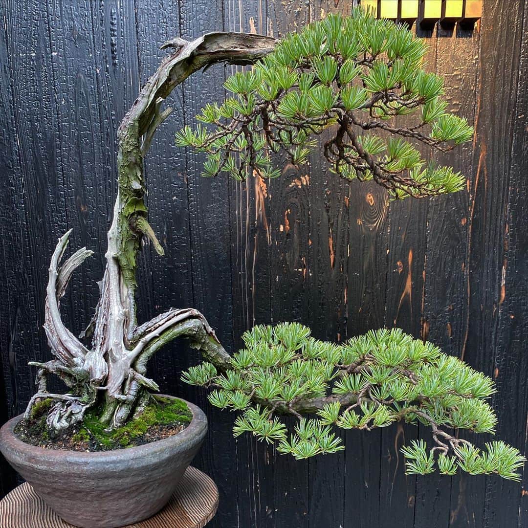 黒木理也のグルメインスタ