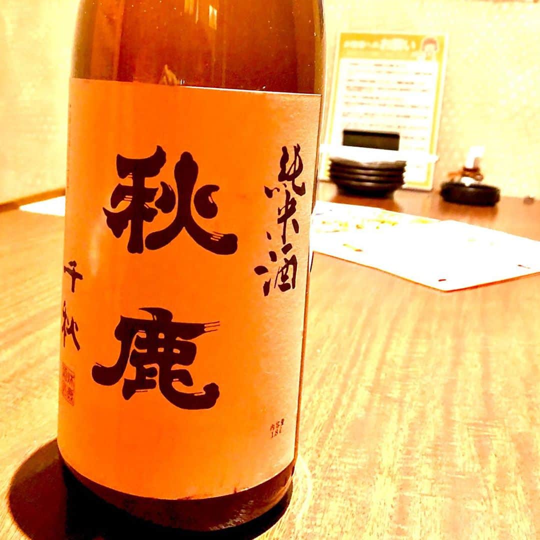弁慶 鳳駅前店のインスタグラム：「大阪の銘酒「秋鹿」‼️  「米の旨み」をしっかりと感じられ、「酸」も感じられるお酒です🍶 この独特の甘酸っぱさが、秋鹿の最大の魅力です✨  肉料理にはもちろん❗️ 刺身などにも合います😆  さらに秋鹿は、冷やしても常温でも、お燗にしても味が崩れません😲  後味がスッキリとしているので、呑みやすいかと思います🎵  ぜひご賞味ください☺️  #大阪 #堺市 #鳳 #鳳駅 #鳳駅前 #鳳駅前店 #弁慶 #弁慶鳳店 #居酒屋 #肉炉端 #肉 #ハッピーアワー #飲み放題 #プレミアムモルツ #日本酒 #秋鹿 #肉料理 #刺身」