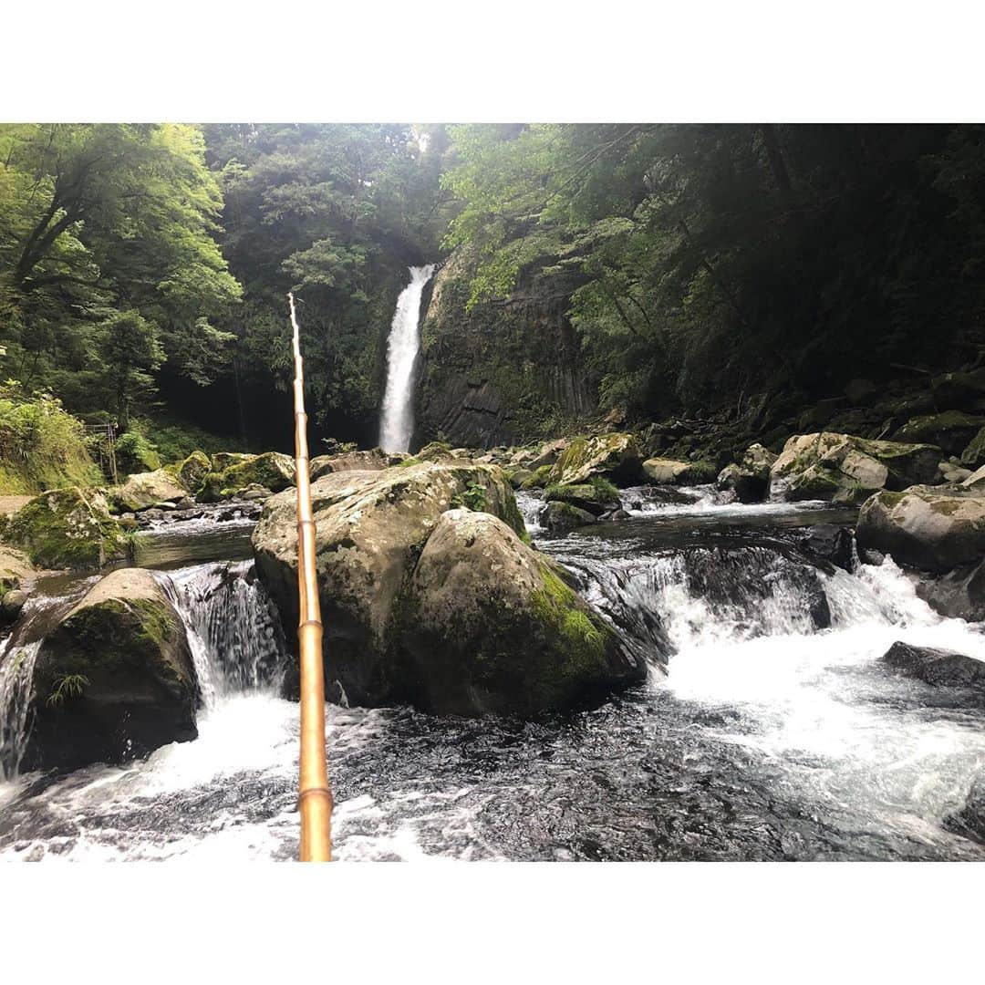 粕谷奈美さんのインスタグラム写真 - (粕谷奈美Instagram)「釣れすぎてこのお魚たちどうしよう！！  ってのを出掛ける前はイメージしてたんだけど、一匹も釣れませんでした🐟💔笑 誰か釣りのコツを教えてください😂 釣れなかったけど、自然の中にいるだけで気持ち良かった〜♩ #伊豆#天城#釣り#次回は釣れますように」10月12日 14時13分 - nami_kasuya