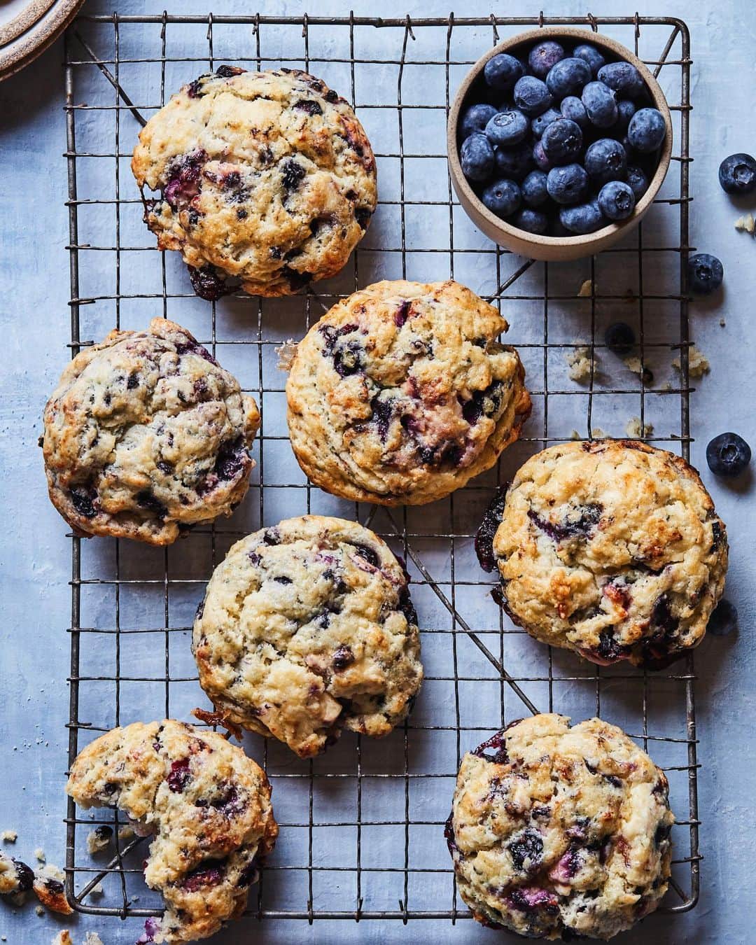 Gaby Dalkinさんのインスタグラム写真 - (Gaby DalkinInstagram)「2020 has been the year of many things, and here on WGC it’s been a year of goat cheese. You guys voted on this recipe a few months back so I’m PUMPED to bring ya Blueberry Vanilla Goat Cheese Scones with @Montchevre for all your fall / winter breakfasts and brunches! These are moist (sorry I know half of us hate the word), loaded with flavor, and dotted with creamy goat cheese. LEGIT PERFECTION. Recipe on the blog!! #ad https://whatsgabycooking.com/blueberry-vanilla-goat-cheese-scones/ 💙💙」10月13日 0時08分 - whatsgabycookin