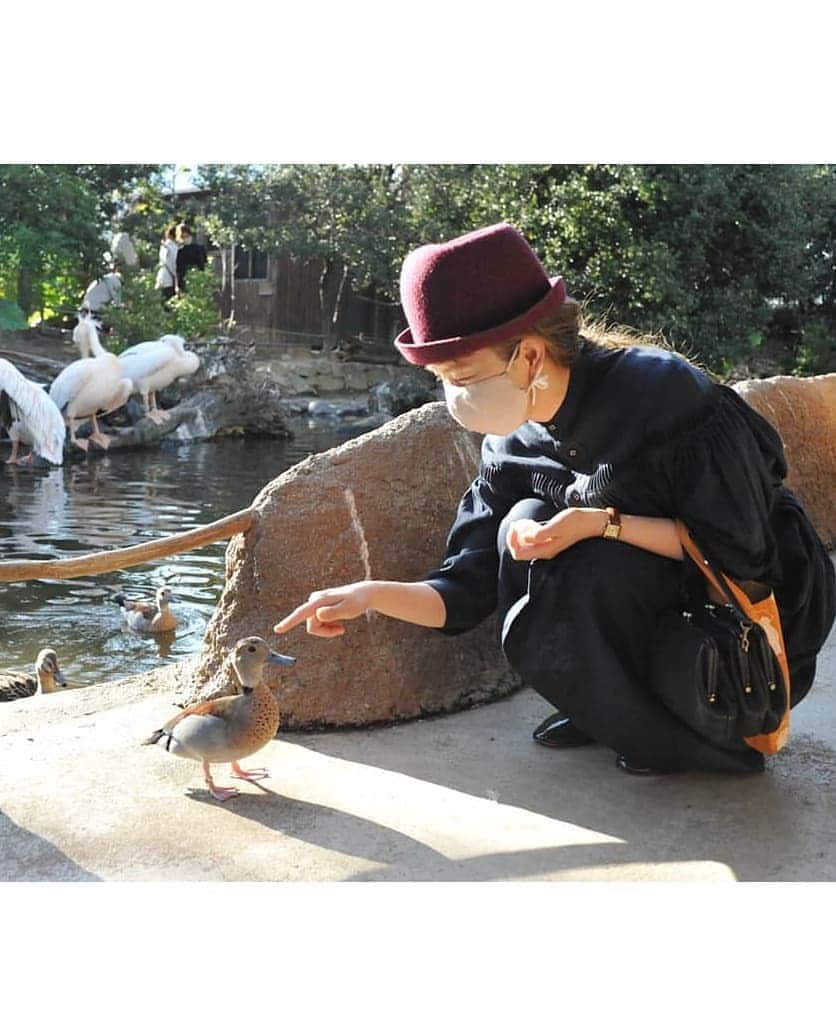emiemieminkoさんのインスタグラム写真 - (emiemieminkoInstagram)「神戸どうぶつ王国 . 餌すぐやるタイプ。 . かわいいから赤ちゃんには手からあげました。  でもお気に入りはワオキツネザル。 キュートだった〜🙈 . そして 休日コーデ。 秋なので、秋帽子を出しました👒  ワンピースは @scye_official のもの。  . .  なんかどっかに別注だとかなんとか旦那さんが言ってました。 . ブラウスはよく見るけど、ワンピースは珍しい😳 別注なので、少し来るまでには時間がかかりました！ ぎりぎりきれてよかった〜😀 . 素敵なワンピースです。 .  ワンピース、#scye 帽子、#matureha 鞄、#artsandscience 靴、#reppeto  . #美容師の休日 #動物好き#ワンピース#ナチュラルコーデ」10月13日 0時32分 - emiemieminko