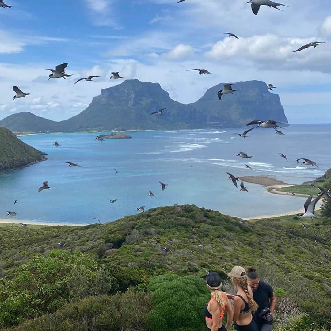 Australiaさんのインスタグラム写真 - (AustraliaInstagram)「When @chrishemsworth described @visitlordhoweisland as ‘paradise’ he certainly hit the nail on the head 😍 He captured these shots on a recent family getaway to stunning #LordHoweIsland, accompanied by @elsapatakyconfidential, @liamhemsworth, @hemsworthluke and @taikawaititi, and by all accounts they had an incredible time soaking up this special part of @visitnsw, known as one of the most sustainable destinations in the world. For the full #Hemsworth experience, we recommend arriving in style with @avminaircharter, staying at the luxurious @islandhouse.lhi, exploring with @visitlordhowe and fishing with @sealordhowe … not to mention surfing, beach picnics, hiking and snorkelling! Sounds like heaven, right? #seeaustralia #visitnsw #holidayherethisyear」10月12日 16時11分 - australia