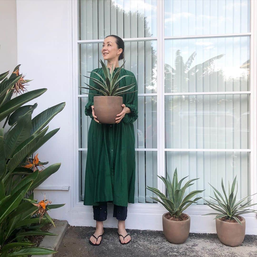 のインスタグラム：「新居の庭に少しづつ、木や植物を植えています。手に持っているのは「アガベ」。メキシコやアメリカ南部などの乾燥地に生育している多肉植物です。  #アガベ　#agave #ハウスオブロータス #houseoflotus」