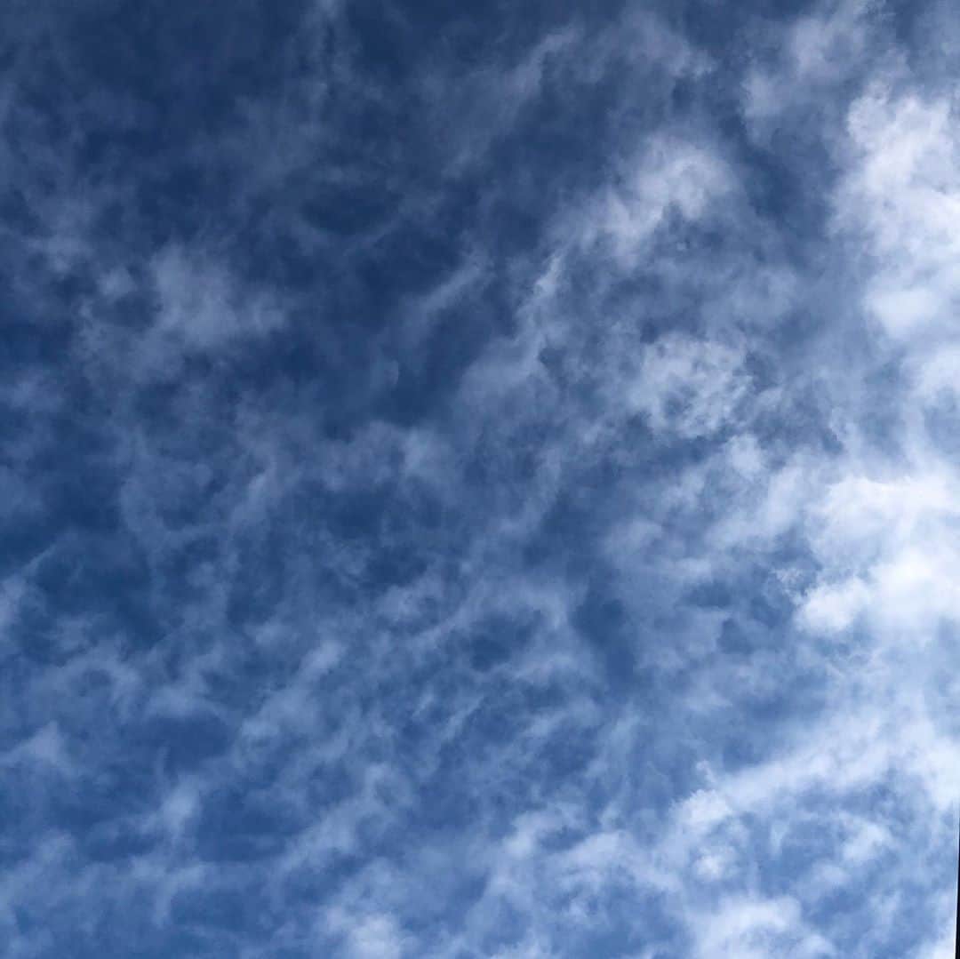 笛木優子さんのインスタグラム写真 - (笛木優子Instagram)「お久しぶりです。 私は元気です。  天気良し👍 最高。 今年も残りあと少し。 踏ん張っていきまっしょい😚」10月12日 16時42分 - yukofuekiyumin