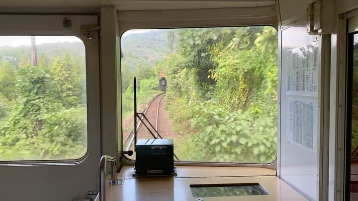 横沢ローラのインスタグラム：「来るよ来るよ来るよトンネル来るよ、 あ、短い、あ、けどまだ来るよ来るよ来るよ‥  トンネル終わって、ぱあっと明るくなって、「抜けたねー！」って隣を見たら忽然とみんなが消えてて、電車はきいいいい、、と言いながら余力で走り、止まったところの少し先で線路は終わっている。 振り返ると、自分が乗ってた電車はもう錆び付いて、何年もその場所にあったような顔をしている。  と‥言う、とてもどうしたらいいか困る妄想を、単線の電車でトンネル通るたびに毎回してしまうの、困る。 そんな事起こったらほんと困る。#単線電車 #妄想ストーリー #大分」