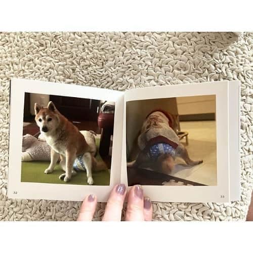 Photobackさんのインスタグラム写真 - (PhotobackInstagram)「本日ご紹介するのは、 柴犬さくら (@sa_ku_ra8.25)さまの作品集🐕 大切なわんちゃんの 日常をまとめた一冊です📚 . 『お友達にPhotobackを 教えてもったのがきっかけです😊 . 撮り溜めていた愛犬の写真を まとめることができて、画像も キレイでお気に入りです✨』 と、柴犬さくら (@sa_ku_ra8.25)さま🐶 . 一枚目の各表紙を あつめたお写真が とにかくキュートです🥰 . 2枚目以降の 中面のお写真についても 様々な表情を見せてくれる わんちゃんの愛くるしさが満点！ 犬好きにはたまらない作品集に なっています❣️ いつまでも元気な姿を見せていて ほしいですね😍 . 柴犬さくら (@sa_ku_ra8.25)さま、 今回は素敵な作品を ありがとうございました🌼 . #photoback #フォトバック #フォトアルバム #フォトブック #フォトブックづくり #アルバム #photo #写真 #photoback作品紹介2020 #犬写真 #写真集 #いぬのきもち #いぬのいる暮らし #いぬすたぐらむ #愛犬 #ペット #わんこのいる生活 #わんちゃん #柴犬」10月12日 17時20分 - photoback.jp