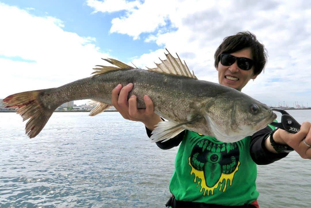 のインスタグラム：「. 日曜日は珍しく...  シーバスドゥン💥  久々シーバス釣った🤤 何年経っても変わらん Megabass X-80SW‼️  巻いてからの トゥイッチしたらドゥン💥 シーバスもおもろ😆 ええやんかぁ〜‼️‼️  #megabass #mymegabass  #メガバス #x80sw #x80  #シーバス #スズキ  #bigfish #bigfish1983jp  #lurefishing #fishing  #シーバス外すのバスよりうまい #ルアーを使いこなせ #ルアーフィッシングを楽しめ #ええやんかぁ」