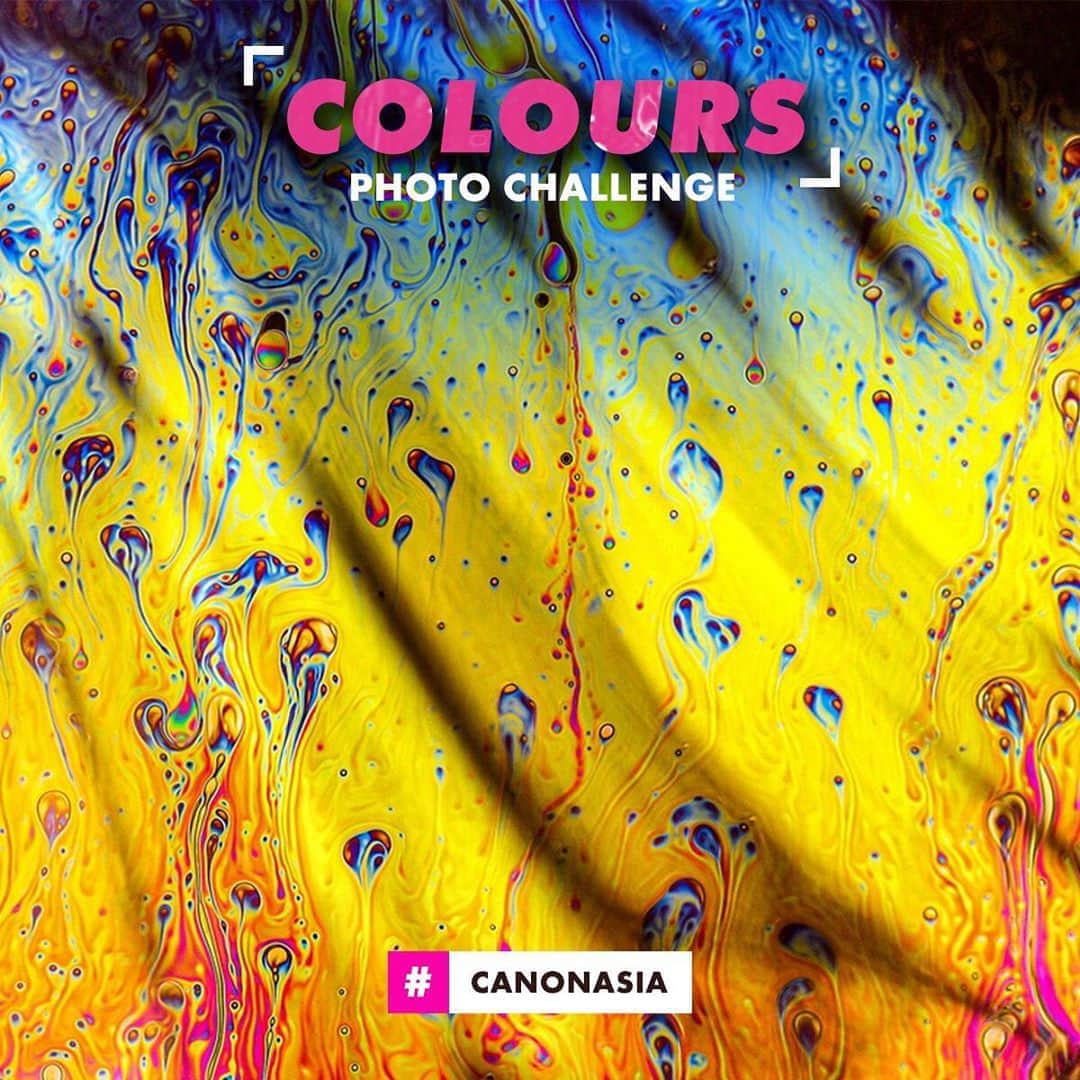 Canon Asiaのインスタグラム：「We love how colours - or the lack thereof -  can bring a whole new feeling and perspective to photos!  So we’re challenging you as Canon photographers to experiment with the colour wheel and show us your most unique take on this month's theme - Colours! 🌺 🌅 🥬 🦋 🎀  All you have to do is upload your photos on My Canon Story or hashtag #canonasia #canonasiacolours on Instagram to stand a chance to be featured on our social media pages!  #photography #explore #colours #canoncolours #vibrant #minimalistic #colour #rainbow #canon #submission #lens #inspiration」