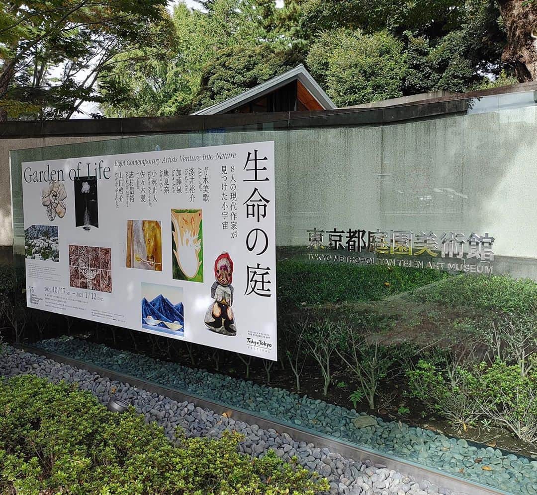 東京都庭園美術館さんのインスタグラム写真 - (東京都庭園美術館Instagram)「【開幕まであと5日｜生命の庭展｜10/17から】 10/17より「生命の庭 ８人の現代作家が見つけた小宇宙」を開催します。本展覧会では絵画・彫刻・映像など様々な作品を通じ、8人の現代作家が人間と自然との関係性を問い直します。どうぞお楽しみに。  #東京都庭園美術館 #生命の庭展 #東京 #旧朝香宮邸 #青木美歌 #淺井裕介 #加藤泉 #康夏奈 #小林正人 #佐々木愛 #志村信裕 #山口啓介 #tokyometropolitanteienartmuseum #teienartmuseum #GardenofLife #tokyo  #TokyoTokyoFESTIVAL」10月12日 17時25分 - teienartmuseum
