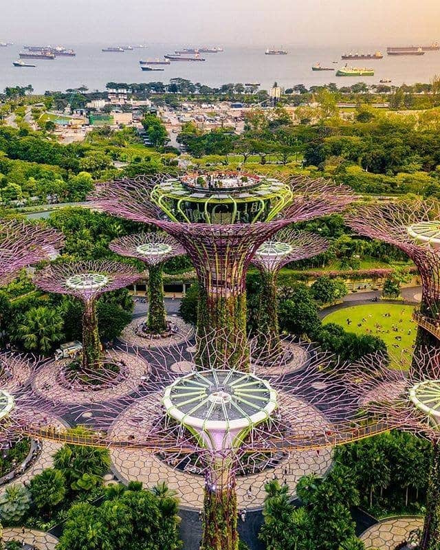 JALさんのインスタグラム写真 - (JALInstagram)「. The towering artificial Supertree Grove at Gardens by the Bay is a stunning fusion of nature and the manmade. #UncommonOctober  空高くそびえるスーパーツリー・グローブと自然の融合が美しい #ガーデンズバイザベイ 🌲 . . Photo by @bennytgh Post your memories with #FlyJAL  #JapanAirlines #singapore #naturephotography」10月12日 17時30分 - japanairlines_jal