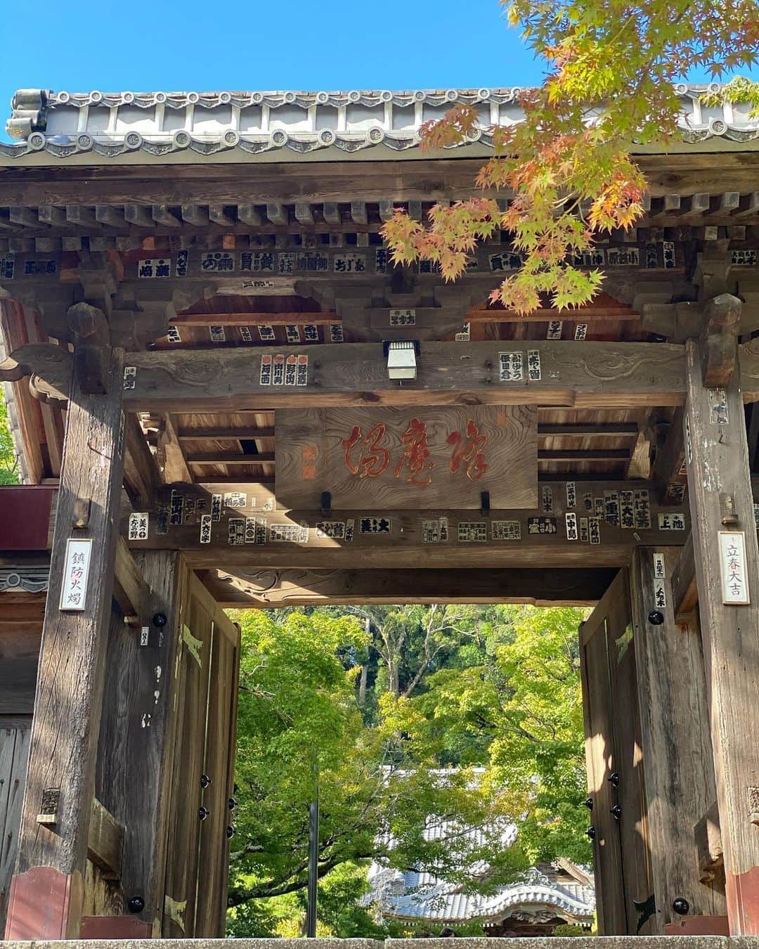 のインスタグラム：「-﻿ 修善寺🍂﻿ ﻿ とにかく空気が澄んでいて気持ちが良かった🌿﻿ 街全体が歩いてるだけで気持ちがよくて、初めて足を運んだ修善寺ですが、お気に入りの癒しスポットになりました！﻿ ﻿ お天気も良くて、日傘をお借りしたけど、、、それでも焼けたような😅☀️﻿ ﻿ #修善寺#伊豆#緑紅葉」