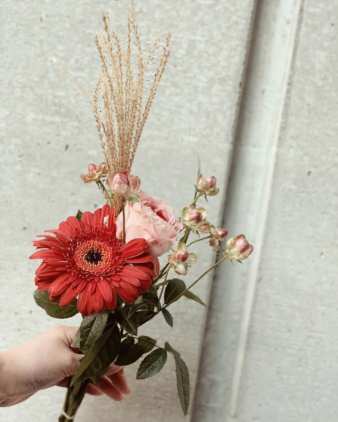 畑中奈緒美さんのインスタグラム写真 - (畑中奈緒美Instagram)「・ 2020.10.9（Fri） 今月のお花❤︎・ ・ ・ ・ ・ #DIVA #love #flower」10月12日 17時55分 - hatanaka_naomi