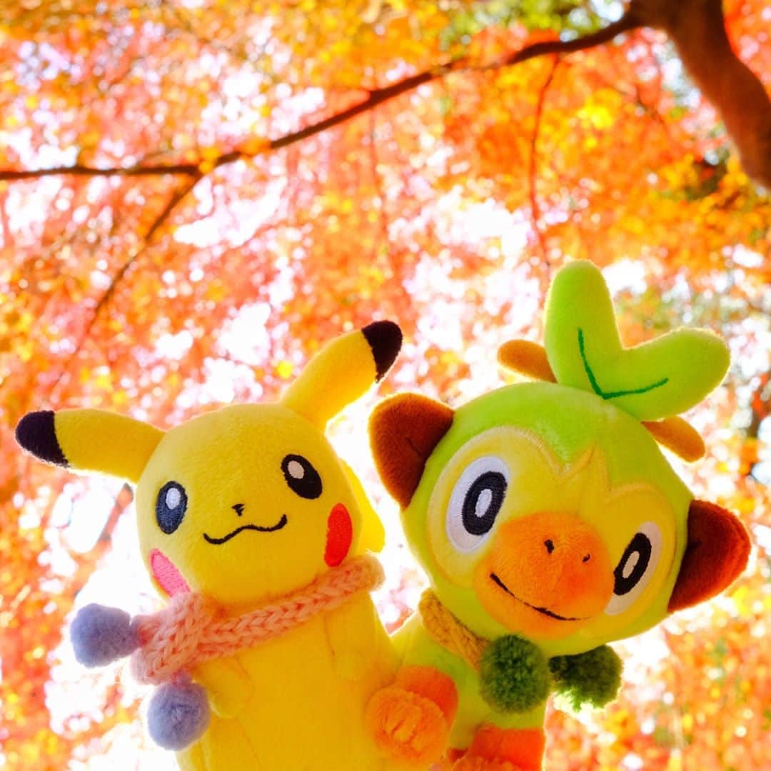 ピカチュウ公式Instagramのインスタグラム