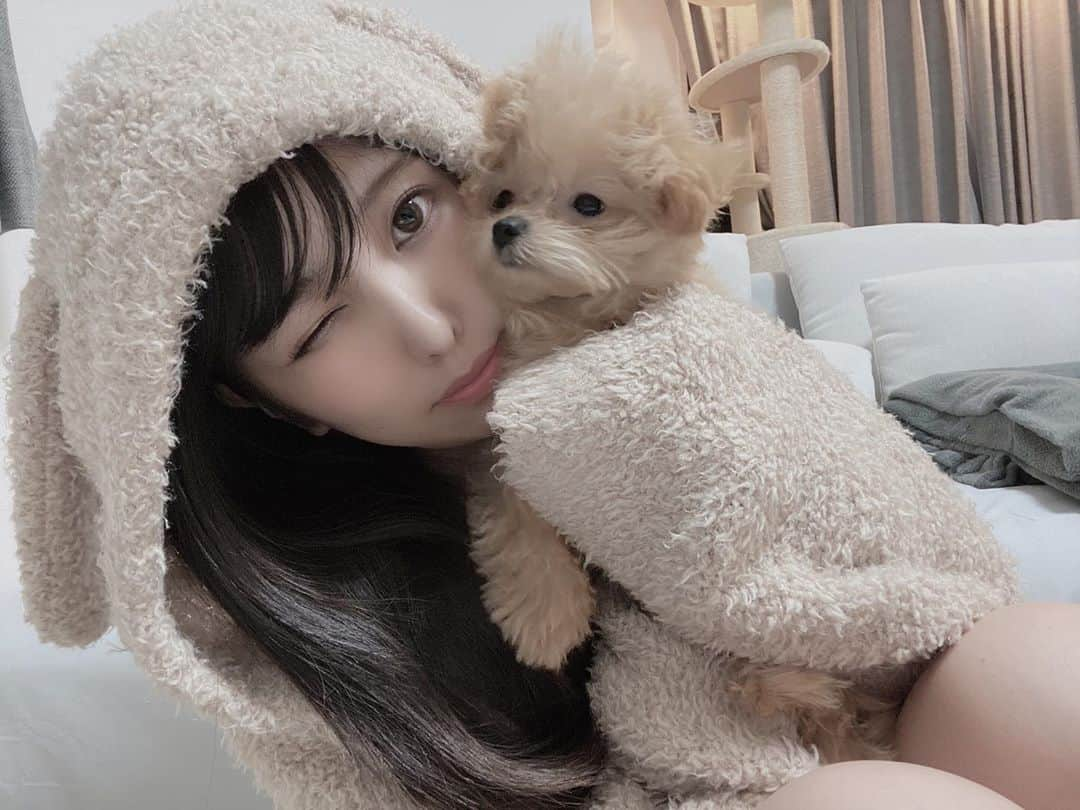 倉木しおりさんのインスタグラム写真 - (倉木しおりInstagram)「親子🧸🐶🐾  犬猫すきさんフォローしてね！犬猫アカウントはフォロバしてます！  #ぽめぷー #ポメプー #pomapoo #ぽめぷーすたぐらむ #ぽめすたぐらむ #ポメラニアン #Pomeranian #トイプードル #toypoodle #子犬のいる暮らし #イッヌ #イッヌがいる生活 #ぽめらにあん部 #犬好きな人と繋がりたい #テディベア #テディベア犬 #たれみみちゃん」10月12日 18時00分 - shiori_kuraki