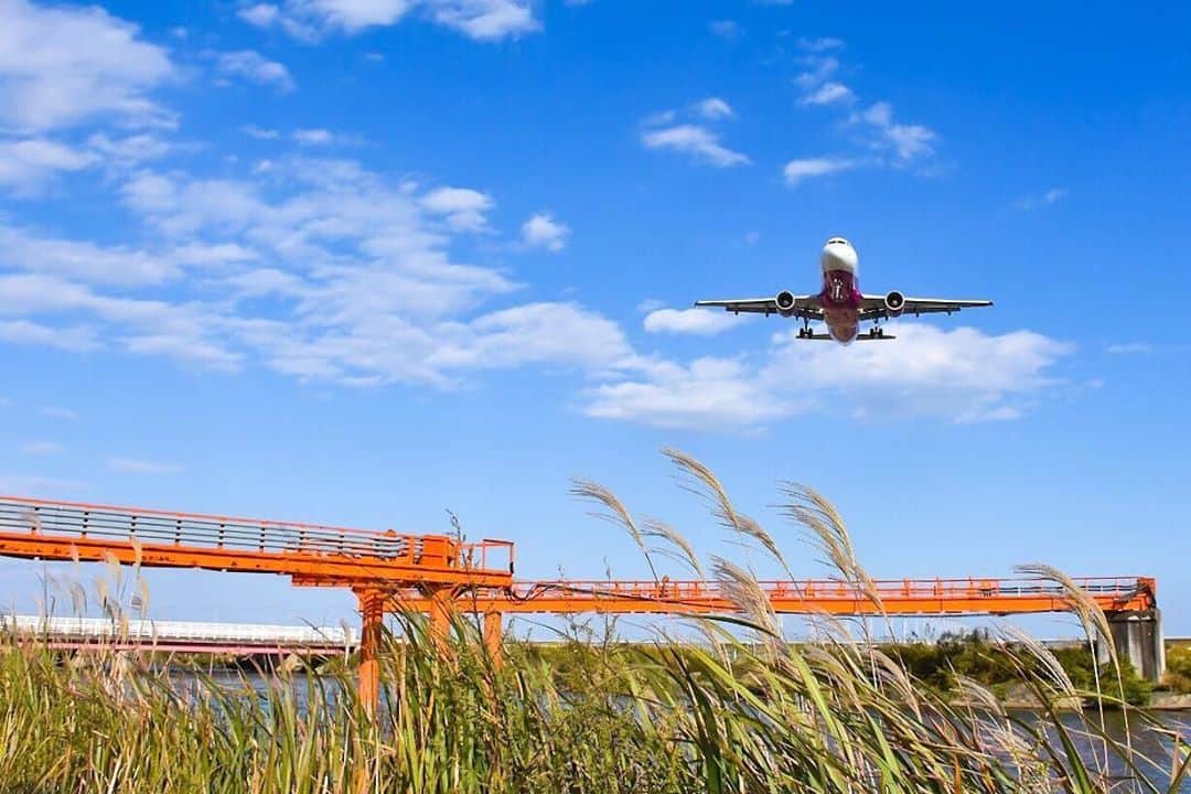 ピーチ・アビエーションのインスタグラム：「風に揺られるススキと秋晴れの空☀️ 涼し気な秋の空を飛ぶ機体が、いつもよりクールに見えますね✈️ . 関西弁の「シュッとしてる」という言葉がぴったり😀 . 吹き抜ける風が心地よく、秋の訪れを感じられる今日この頃🌾 ちょっとオシャレして旅したくなるベストショット📸 . .. . . . . . . . . . . . . . . . . . . . . . . . . . . . . . . . . . . . Peachベストショットコンテスト2019　入賞 ▶Photo by @peachaviation320 OOKINI!! . . . . . . . . . . . . . . . . . . . . . . . . . . . . . . . . . . . . . #Peachとススキ #シュッとしてるPeach #fly_peach #樂桃航空 #Peachベストショット2019 #peachaviation #飛行機 #飛行機写真 #airplane #LC C」