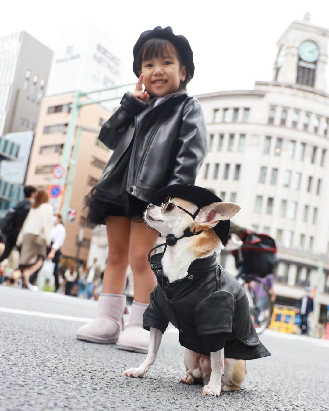 紋次郎さんのインスタグラム写真 - (紋次郎Instagram)「Cute riders すごく可愛い子だった😍 今年もレザーのライダースが流行りそうですね！ αで撮ってた写真ほしいなぁ😂  #dog#dogstagram#instadog#chihuahua#barkbox#mydogiscutest#buzzfeed#dog_features#fluffypack#barkpack#dogsofinstaworld#dogsofinstagram#犬#チワワ#手作り#handmade#着物#fashion#紋次郎一家#チーム茶#ふわもこ部#igersjp#peco犬部#dogsofinstagram#dogfashion #ginza」10月12日 18時47分 - montjiro