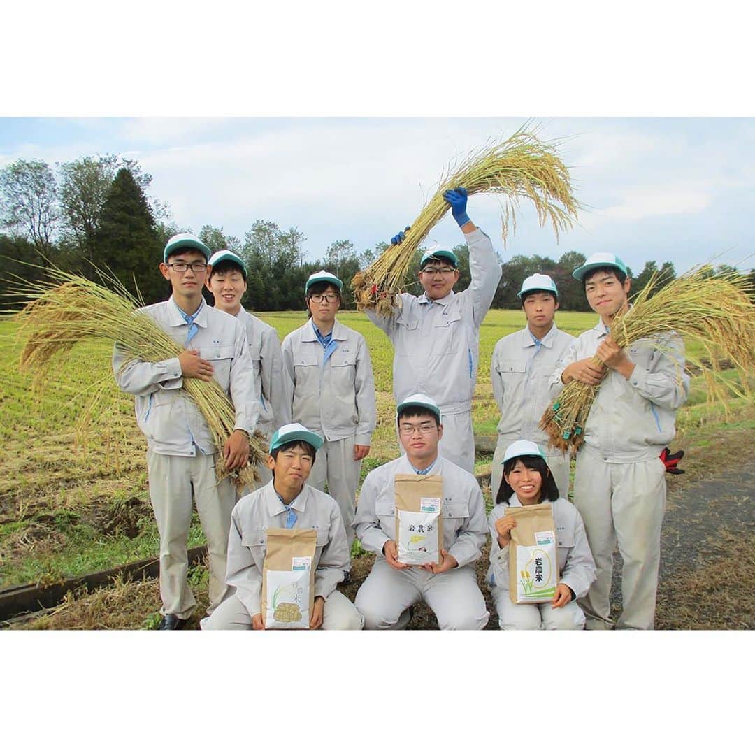 八芳園さんのインスタグラム写真 - (八芳園Instagram)「AMAZAKE POPUP EVENT🌾 福島県岩瀬農業高校生が教えてくれるサスティナブルアクション . 日本では2008年から10月16日の 「世界食料デー」のある10月を 世界食料デー月間として、 飢餓や食料問題について考え 解決に向けて一緒に行動する１ヶ月としています。 . コロナ禍の中でも、 私たちに欠かせないものは”食べること”。 . 豊かな食卓を、 大切なふるさとを守ろうと 懸命に活動している農業高校生たちがいます。 . 彼らの想いとは？活動とは？ . 知ることで、 さらに美味しく感じられる。 . これからの未来につなげるアクションを。 . 港区白金台プラチナ通りの ポップアップ型ショールーム「MuSuBu」にて 知って、体験して、食べて、学ぶ、 . AMAZAKE POPUP EVENT 福島県岩瀬農業高校生が教えてくれる サスティナブルアクション . 開催いたします！ . . . 今回のイベントでは、 無添加糀あまざけの試飲と販売や、 あまざけをおいしく食べる魅力も感じていただく あまざけCaféを開催。 . テイクアウトも可能な 福島県産フルーツ×糀あまざけスムージー、 寒い日にぴったりのホットあまざけなどをご用意しております。 . 岩瀬農業高校産GAP米を使用したおむすびセットは、 無添加糀あまざけの製造を行っている 老舗糀屋「宝来屋本店」さんの味噌を使用したみそ汁つき。 . あまざけの魅力をたっぷりと味わえます。 . 日本文化を体験する、 本格的な餅つき大会はお子様も参加できるので、 貴重な経験になること間違いなし。 . 福島県とオンラインでむすぶ、 岩瀬農業高校の高校生から学ぶ「サスティナブルアクション」のコーナーも。 . グローバルGAPの取り組みを通して、 大人だけでなく、彼らにとって次世代である子どもたちにも、 持続可能な未来とは？を 一緒に考えてみるきっかけを与えます。 . 「食」についておいしく楽しく考える２日間。 .  ぜひ「MuSuBu」にお越しくださいませ。 . . 【AMAZAKE POPUP EVENT  福島県岩瀬農業高校生が教えてくれるサスティナブルアクション】 . 開催日：10月17日(土)〜10月18日(日)   ※10月15日(木) / 16日(金)は「あまざけCafé」のみ営業 時間 ：11時00分〜18時00分  場所 ：「MuSuBu」東京都港区白金台4−9−19   HAPPO-EN URBAN SQUARE 1階&２階 . . @musubu_happoen  @iwaseah  @horaiyahonten  . .  #八芳園 #happoen #MuSuBu . #岩瀬農業高校 #宝来屋本店 #宝来屋 #福島 #福島県 . #世界食料デー  #食育 . #甘酒 #あまざけ #スムージー #🌾 #甘酒スイーツ  #甘酒好き #健康 #美容 #SDGs #globalgap #農業 #高校生 . #発酵食品 #発酵 #腸活 #美腸 #美活 #免疫力アップ #発酵食品のある暮らし #ポップアップ」10月12日 18時42分 - happoen