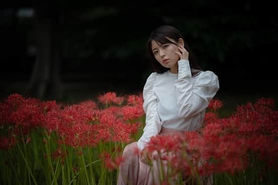 竹本茉莉のインスタグラム：「彼岸花と。 . . . . . . #ポートレート #ポートレート撮影 #彼岸花 #写真好きな人と繋がりたい #photography #japanesegirl  #카메라 #사진 #풍경 #寫真」