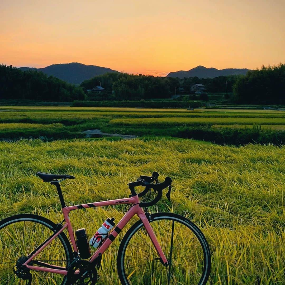 mana___chinさんのインスタグラム写真 - (mana___chinInstagram)「🚵🏻‍♀️淡路市　安乎🚵  台風の影響で2キロ太りました🙄  #ロードバイク #チャリダー #ヒルクライム #サイクリング #アワイチ #淡路島 #キャノンデール #caad13 #cannondale #ridecannondale #roadbike #roadbikelife #roadbike_jp #ロードバイクjp #igcjp #坂バカ #ロングライド #ロードバイクのある風景」10月12日 19時00分 - cr___1984