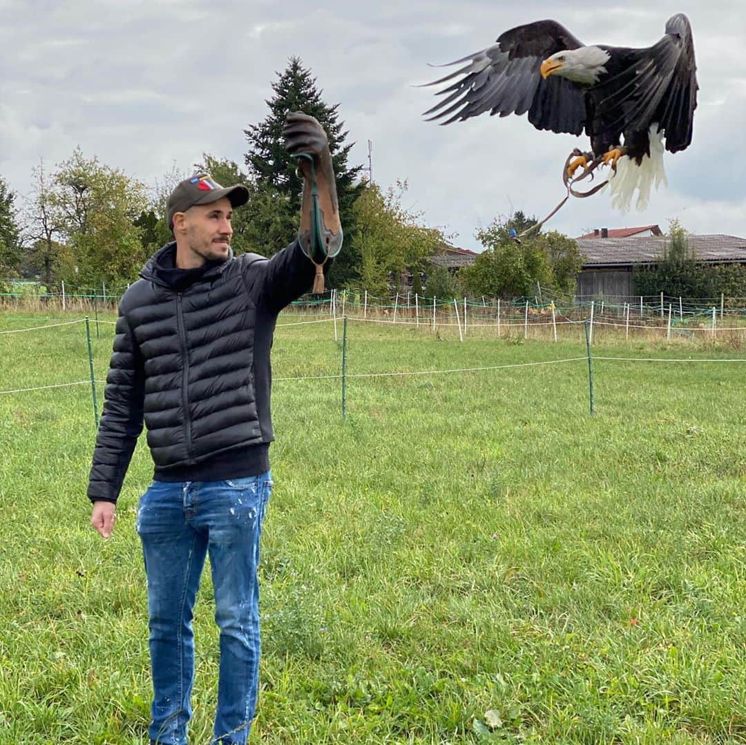 イェンス・グラールのインスタグラム：「Für mich persönlich das schönste Tier der Welt 🦅 danke mein Schatz @natalie.grahl für das Erlebnis und danke an garuda Falknerei」