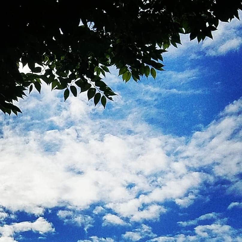 常世晶子さんのインスタグラム写真 - (常世晶子Instagram)「秋の空。運動会🏃 泣ける😢💗  #コロナ禍 #2020」10月12日 19時16分 - tokoyo_shoko