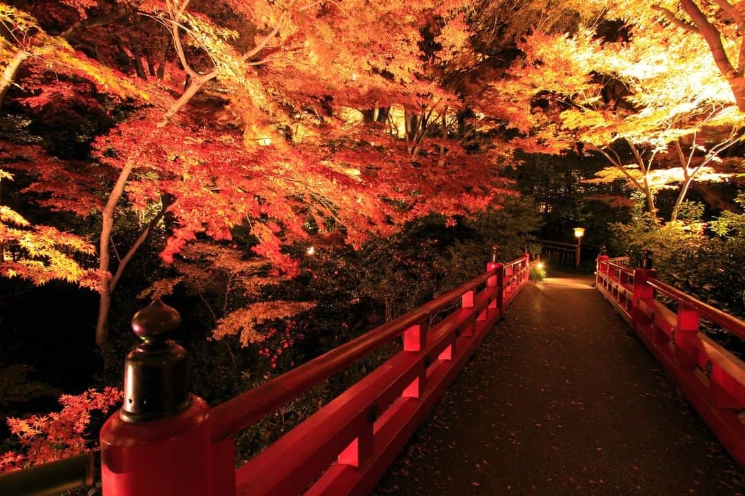 Relux | リラックスさんのインスタグラム写真 - (Relux | リラックスInstagram)「【ずっとそこにいたくなる、心落ち着くホテル】  東京とは思えないような豊かな緑溢れる庭園。 これからの時期は紅葉もお楽しみいただけるかもしれません。 その雰囲気からも、サービスからも、国内外の多くの人に愛されているホテルです。  お部屋は東京の街並みを眺めるシティビューと、庭園を望むガーデンビューの2パターン。 いずれもゆったりとした広さで、バスルームも充実。  四季を感じるホテルで、”やさしさ”を感じるステイをお楽しみください。   ------------------------------------------------ 📍ホテル椿山荘東京 / 東京都 ------------------------------------------------  @hotelchinzansotokyo_official  気になる宿の詳細は、Relux公式HPまたは、便利なReluxアプリからご確認ください🔎   #ホテル椿山荘東京 #東京都 #目白 #東京旅行 #庭園 #東京観光 #東京ホテル #秋旅 #近場で楽しむ  #国内旅行 #週末旅 #週末旅行 #大人の休日 #記念日旅行 #誕生日旅行 #温泉旅行 #旅館 #温泉旅館 #ホテル #ラグジュアリーホテル #リゾート #リゾートホテル #旅スタグラム #旅行好きな人と繋がりたい #unknownjapan #japantravelphoto」10月12日 19時30分 - relux_jp
